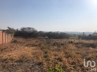 TERRENO ESCRITURADO Y CON BARDAS CARRETERA YAUTEPEC-TLAYACAPAN, PREDIO LAS PALOMAS.