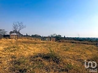 TERRENO ESCRITURADO Y CON BARDAS CARRETERA YAUTEPEC-TLAYACAPAN, PREDIO LAS PALOMAS.
