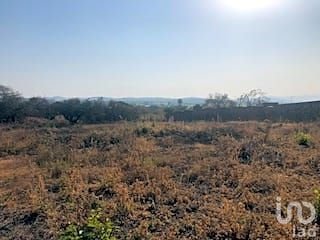 TERRENO ESCRITURADO Y CON BARDAS CARRETERA YAUTEPEC-TLAYACAPAN, PREDIO LAS PALOMAS.