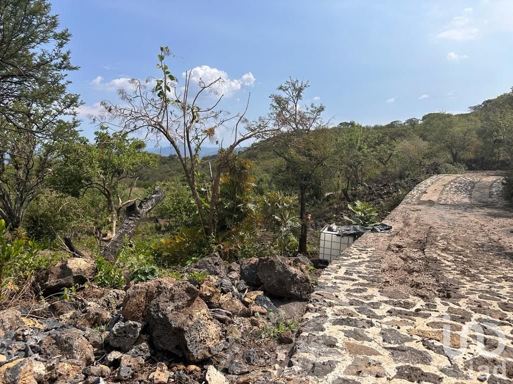 Terreno en Venta en Tepoztlán. CONJUNTO MIRADOR. Vista al valle de Cuautla y montañas de Tepoztlán.