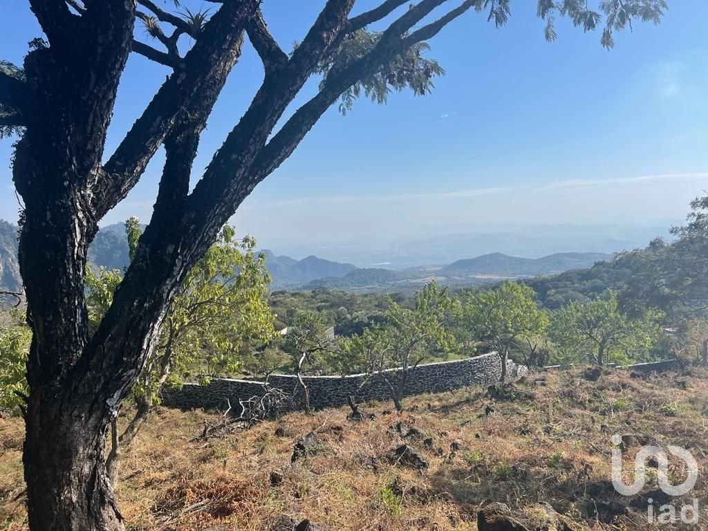 Terreno en Venta en Tepoztlán. CONJUNTO MIRADOR. Vista al valle de Cuautla y montañas de Tepoztlán.