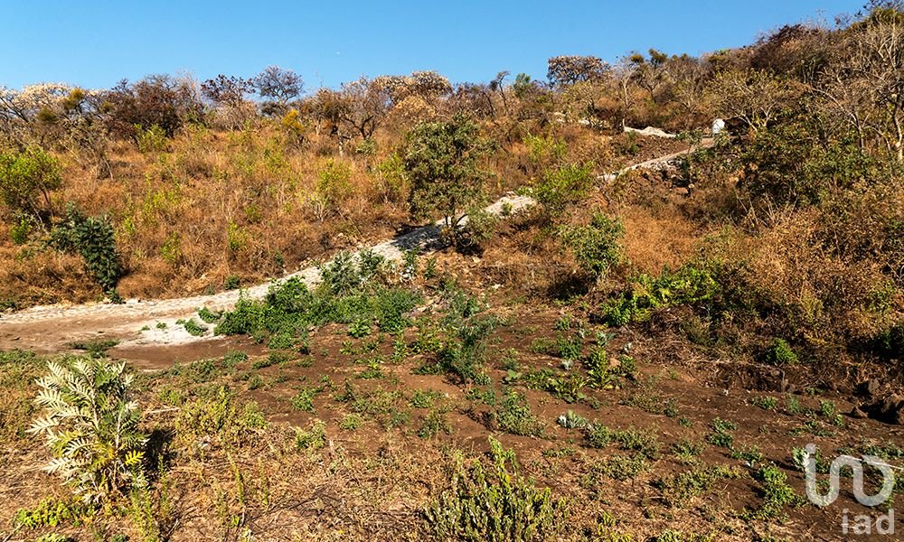Terreno en Venta en Tepoztlán. CONJUNTO MIRADOR. Vista al valle de Cuautla y montañas de Tepoztlán.