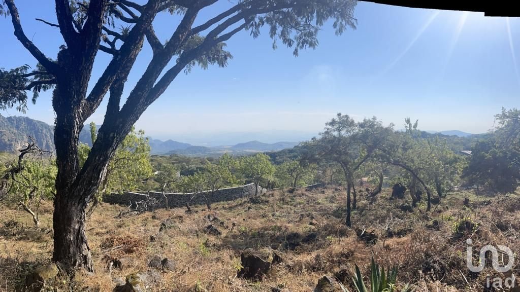 Terreno en Venta en Tepoztlán. CONJUNTO MIRADOR. Vista al valle de Cuautla y montañas de Tepoztlán.