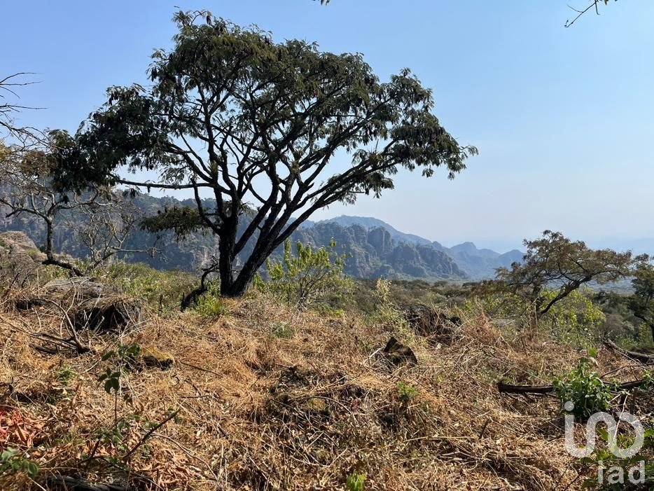 Terreno en Venta en Tepoztlán. CONJUNTO MIRADOR. Vista al valle de Cuautla y montañas de Tepoztlán.