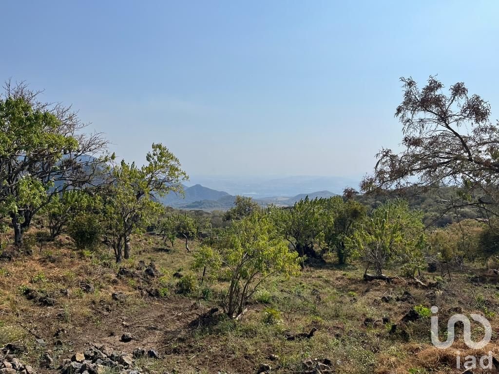 Terreno en Venta en Tepoztlán. CONJUNTO MIRADOR. Vista al valle de Cuautla y montañas de Tepoztlán.