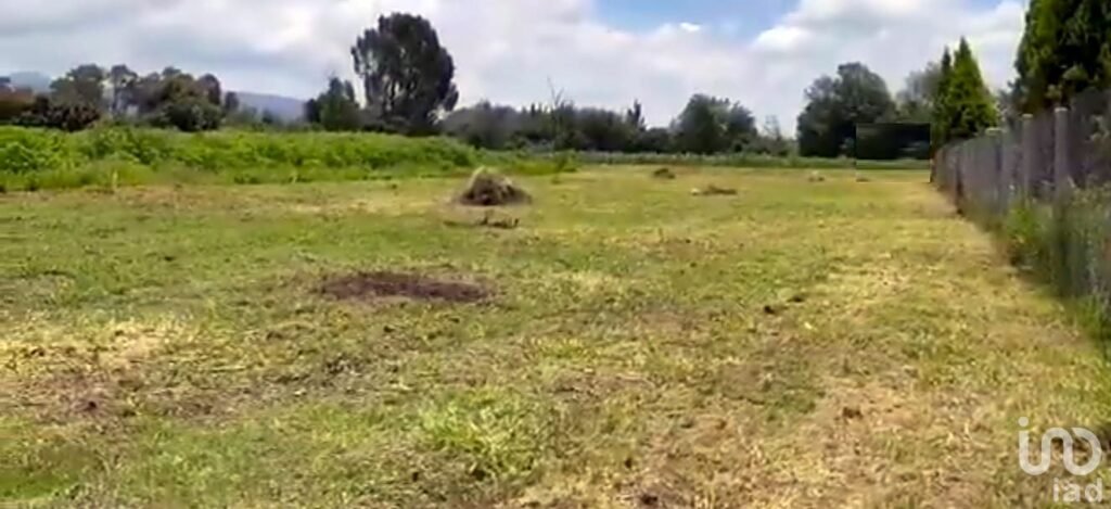TERRENO EN SAN ANDRÉS, TLAYACAPAN MORELOS