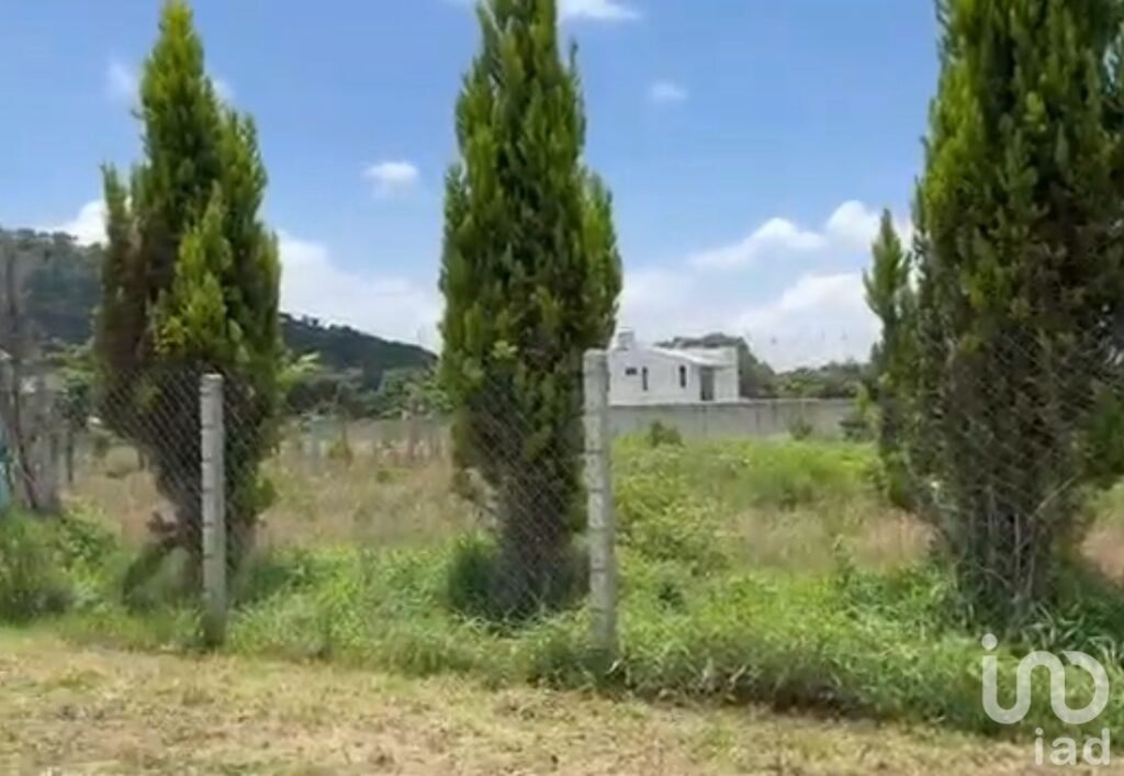 TERRENO EN SAN ANDRÉS, TLAYACAPAN MORELOS