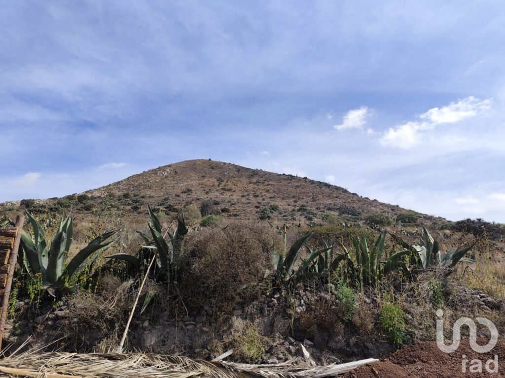 Cabaña campestre Cuxtla