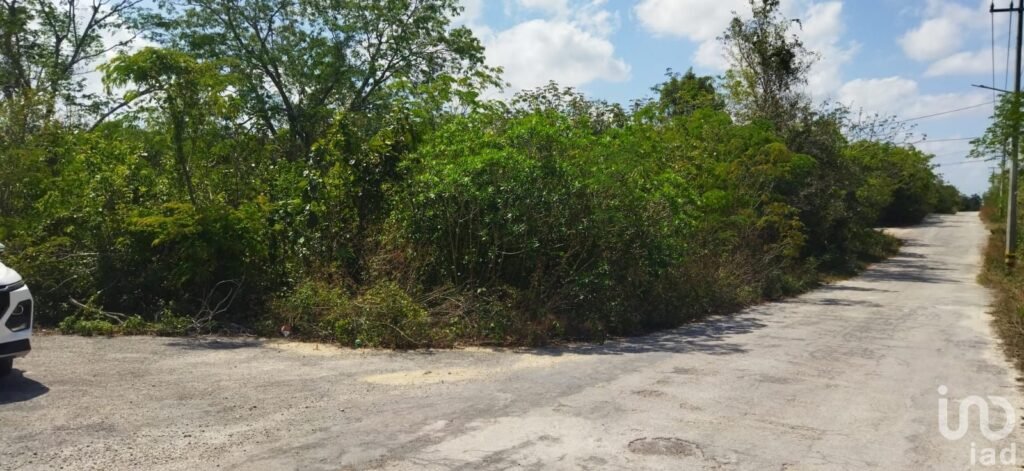 TERRENO EN VENTA SOBRE AVENIDA ENTRANDO POR  AV. HUAYACAN