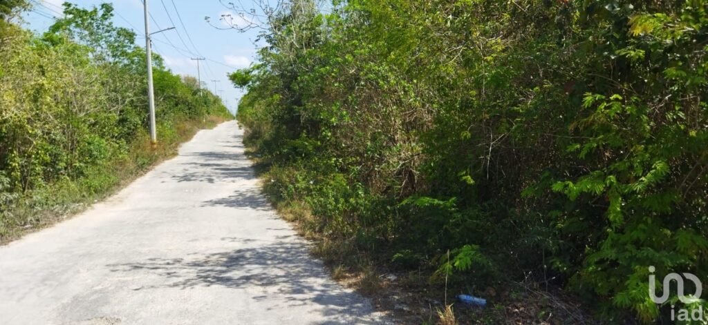 TERRENO EN VENTA SOBRE AVENIDA ENTRANDO POR  AV. HUAYACAN