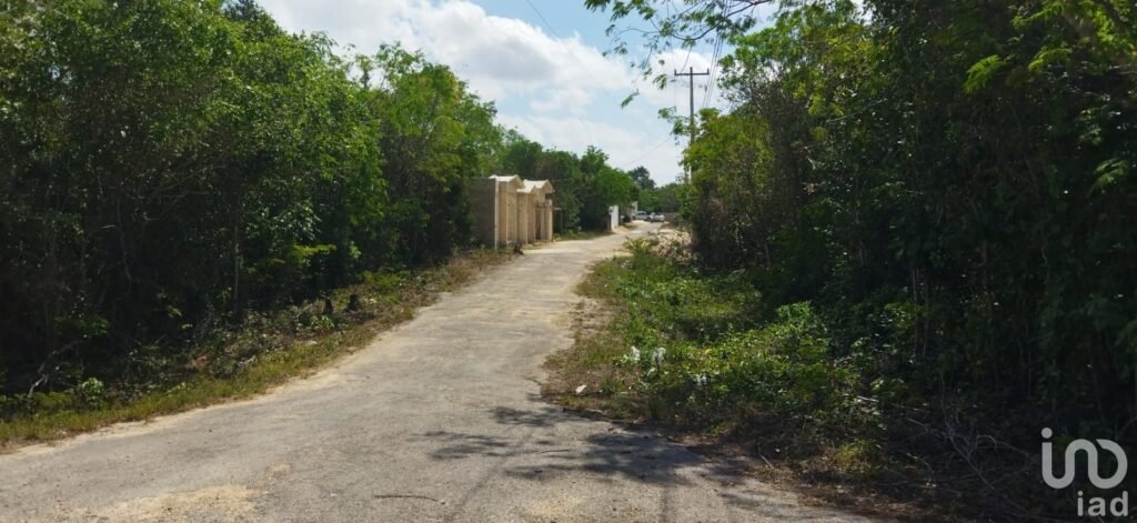 TERRENO EN VENTA SOBRE AVENIDA ENTRANDO POR  AV. HUAYACAN