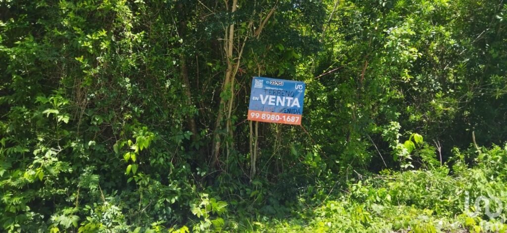 TERRENO EN VENTA SOBRE AVENIDA ENTRANDO POR  AV. HUAYACAN
