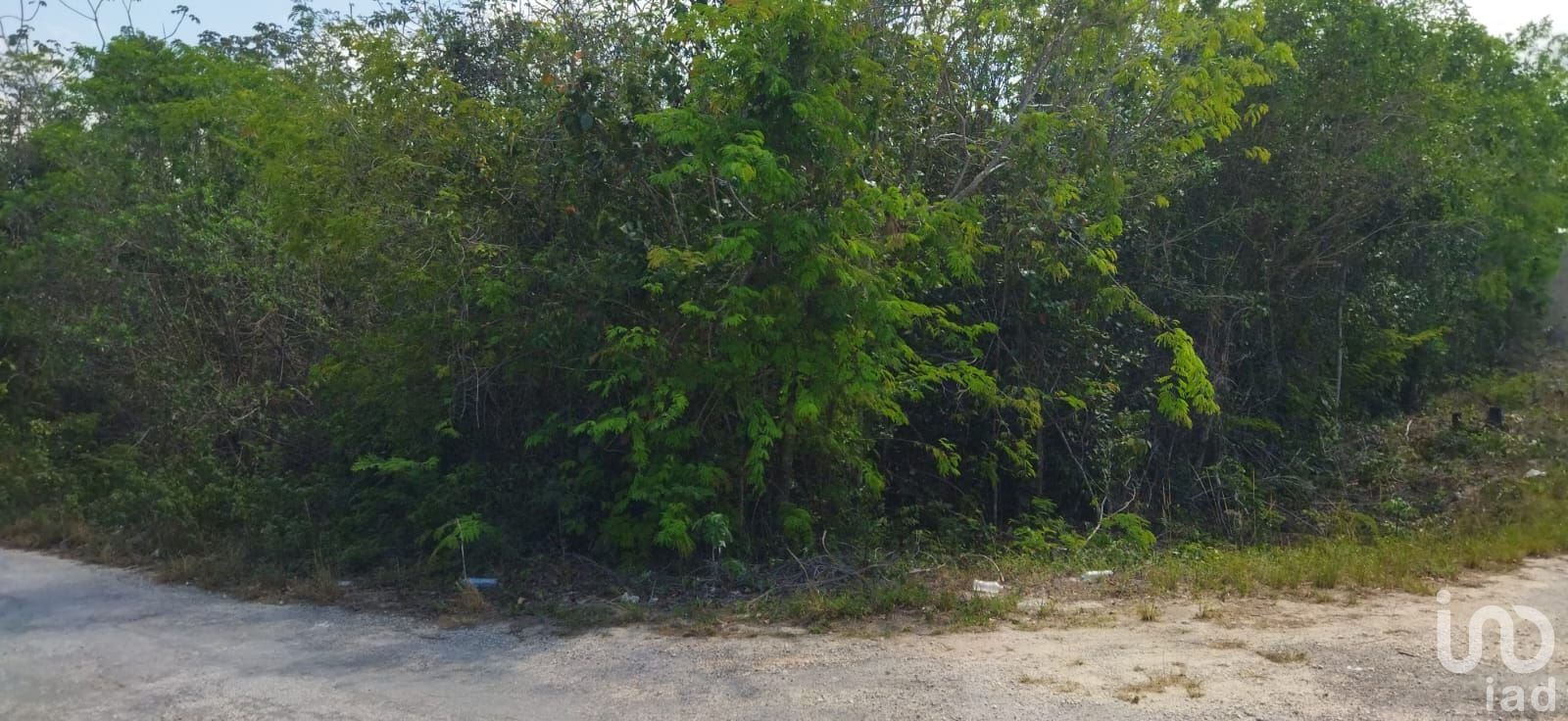 TERRENO EN VENTA SOBRE AVENIDA ENTRANDO POR  AV. HUAYACAN