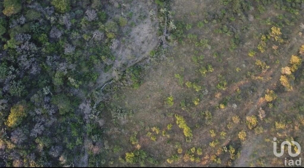 Venta de Terreno en  Queretaro el Vegil