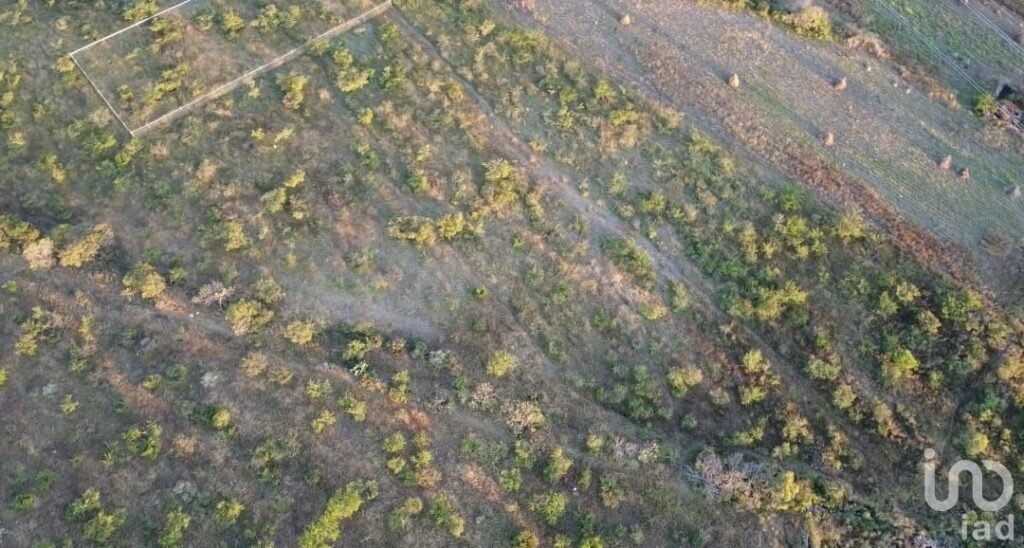 Venta de Terreno en  Queretaro el Vegil