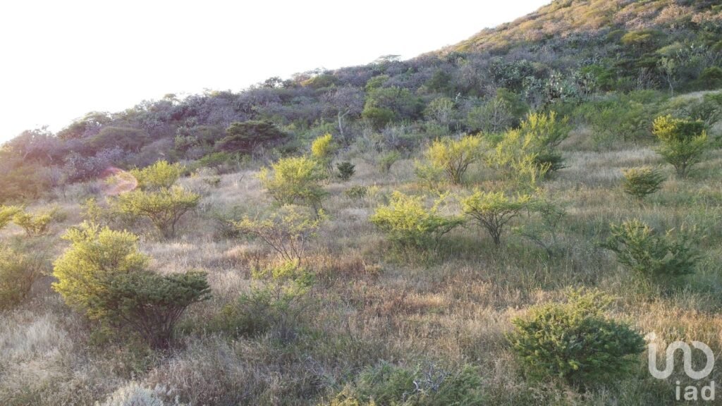 Venta de Terreno en  Queretaro el Vegil