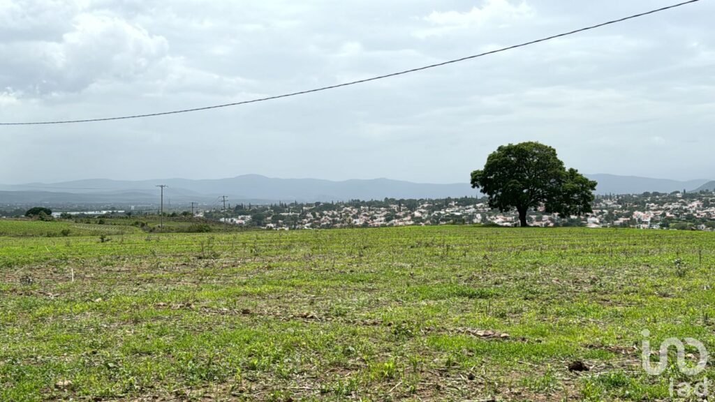 TERRENO EN ZACANCO, ATLATLAHUACAN MORELOS