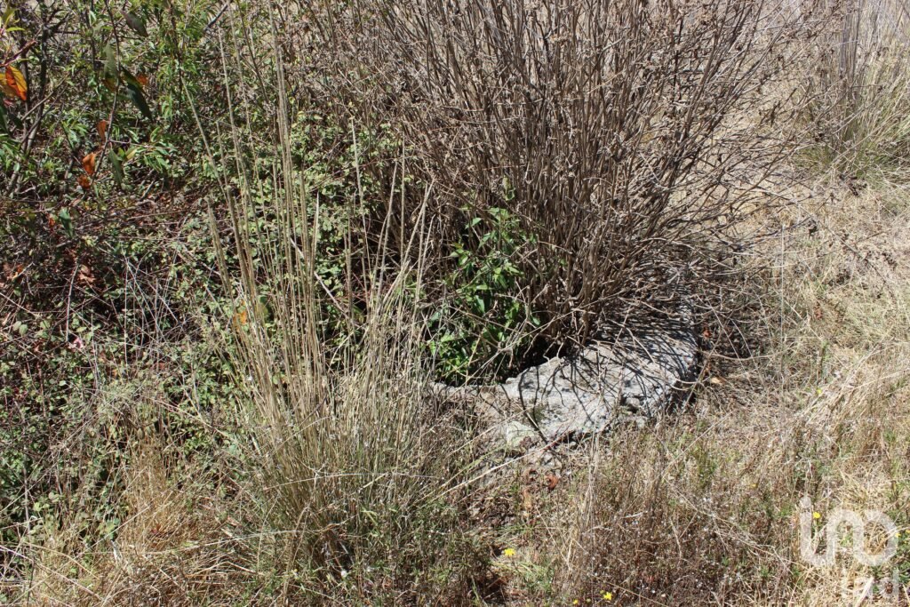 Excelente oportunidad para Inversionistas Terreno en venta en Monte de Peña, Villa del Carbón