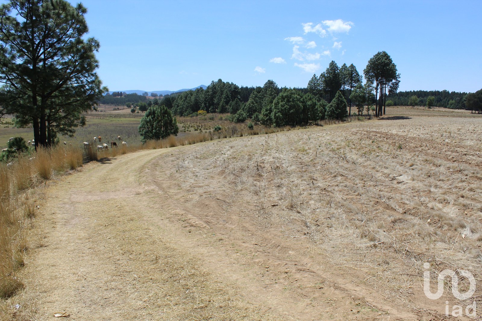 Excelente oportunidad para Inversionistas Terreno en venta en Monte de Peña, Villa del Carbón