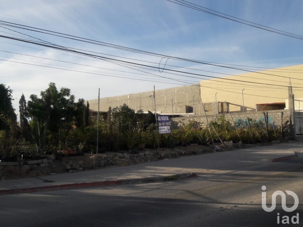Renta Terreno  Comercial 500 m2  Av. Leona Vicario, Cabo San Lucas B.C.S.