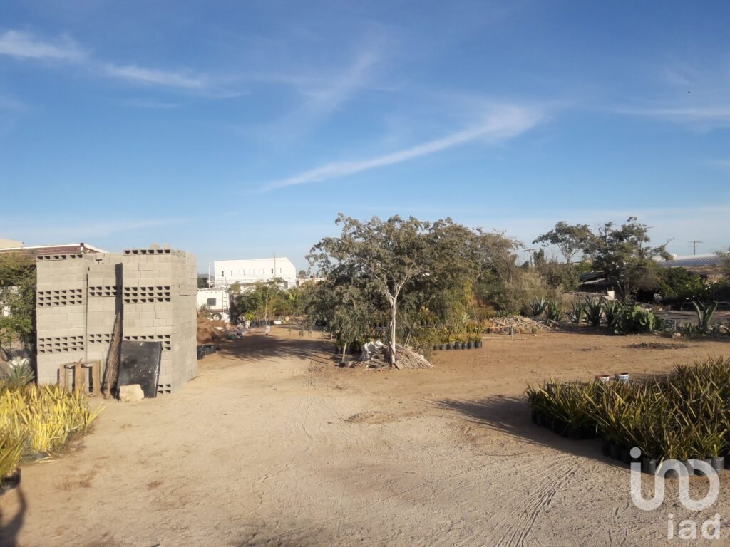 Renta Terreno  Comercial 500 m2  Av. Leona Vicario, Cabo San Lucas B.C.S.