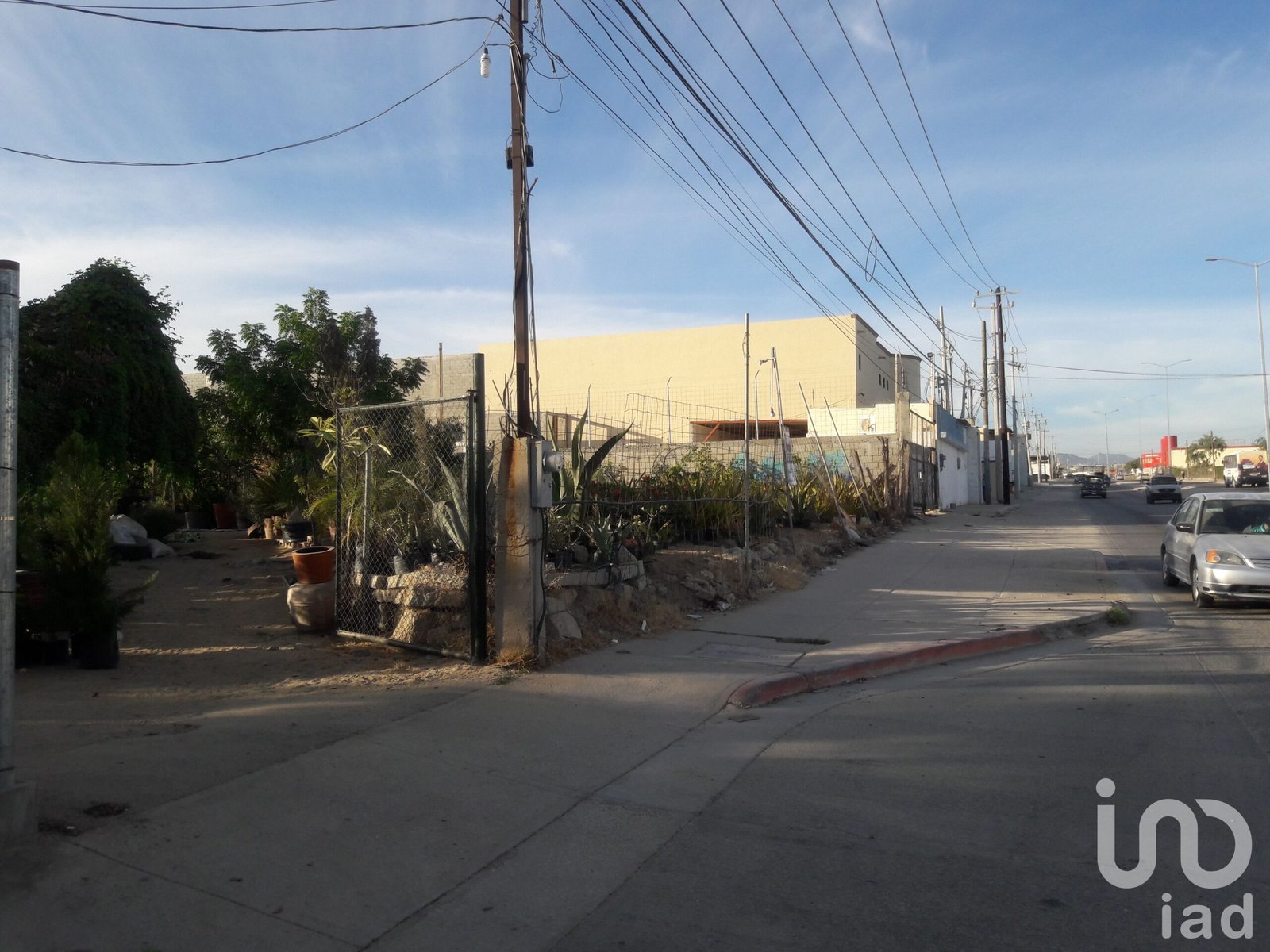 Renta Terreno  Comercial 500 m2  Av. Leona Vicario, Cabo San Lucas B.C.S.