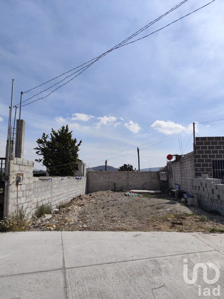 Terreno con servicios San Miguel Tornacuxtla