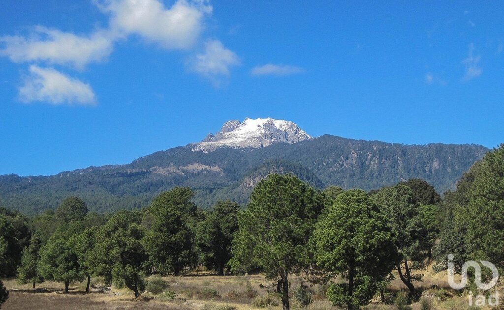 HECTAREAS EN VENTA EN EL MUNICIPIO DE ALTZAYANCA, TLAXCALA