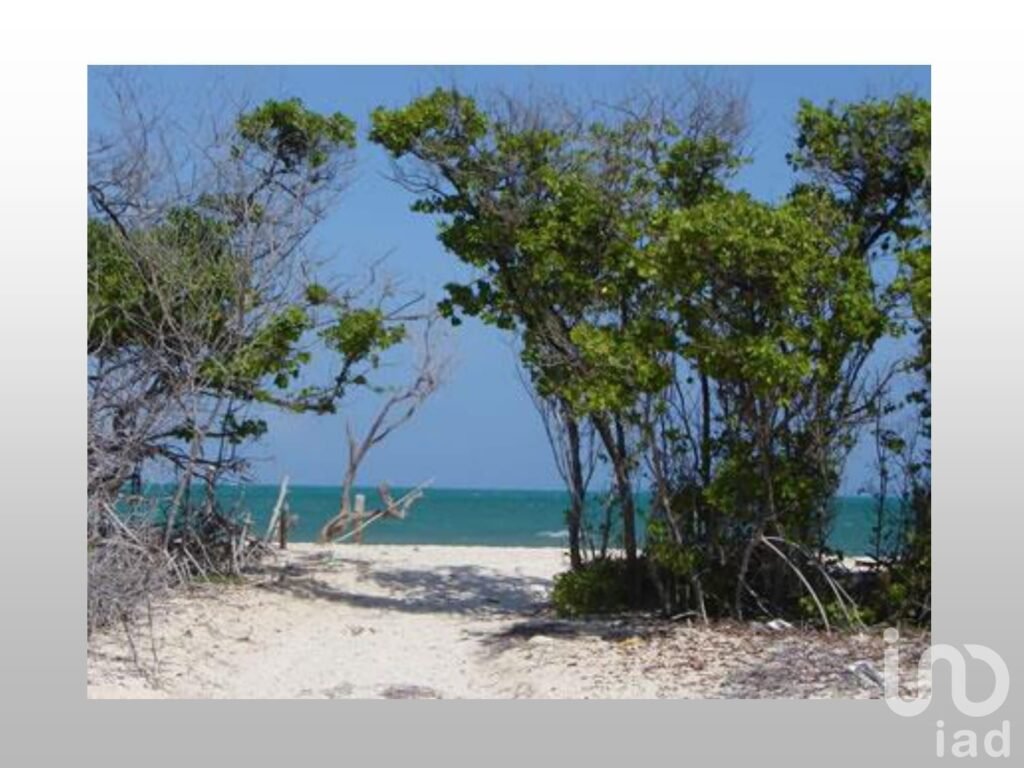 Terreno en Santa Rosa, Isla Mujeres