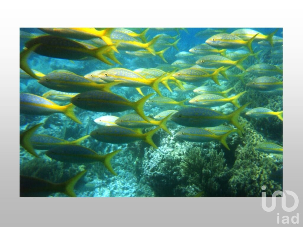Terreno en Santa Rosa, Isla Mujeres