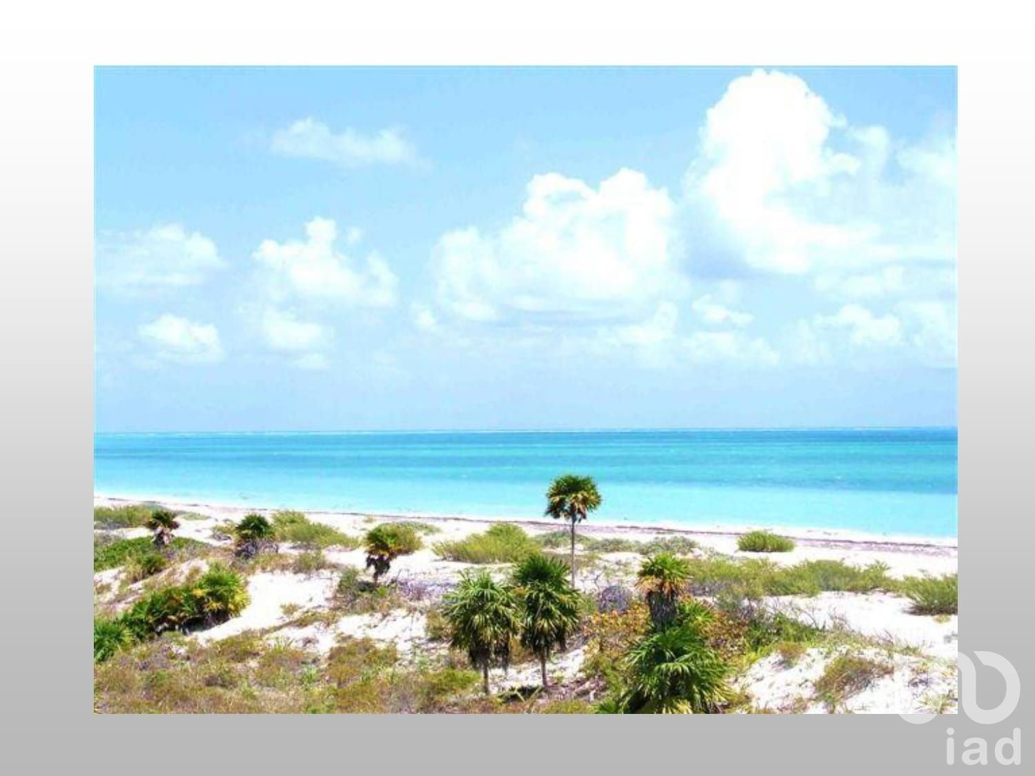 Terreno en Santa Rosa, Isla Mujeres Terreno en Santa Rosa, Isla Mujeres