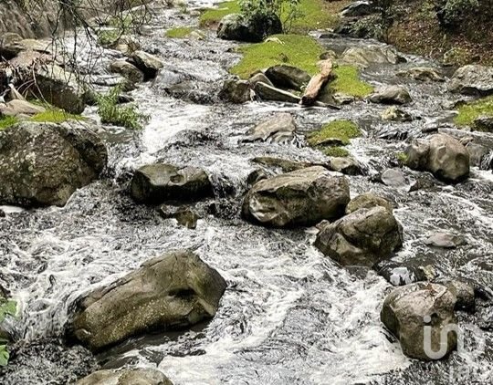 LOTE EN FRACCIONAMIENTO CAMPESTRE EN OMITLAN