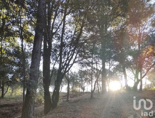 LOTE EN FRACCIONAMIENTO CAMPESTRE EN OMITLAN