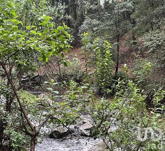 LOTE EN FRACCIONAMIENTO CAMPESTRE EN OMITLAN