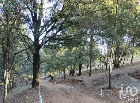 LOTE EN FRACCIONAMIENTO CAMPESTRE EN OMITLAN