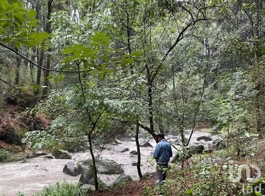 LOTE EN FRACCIONAMIENTO CAMPESTRE EN OMITLAN