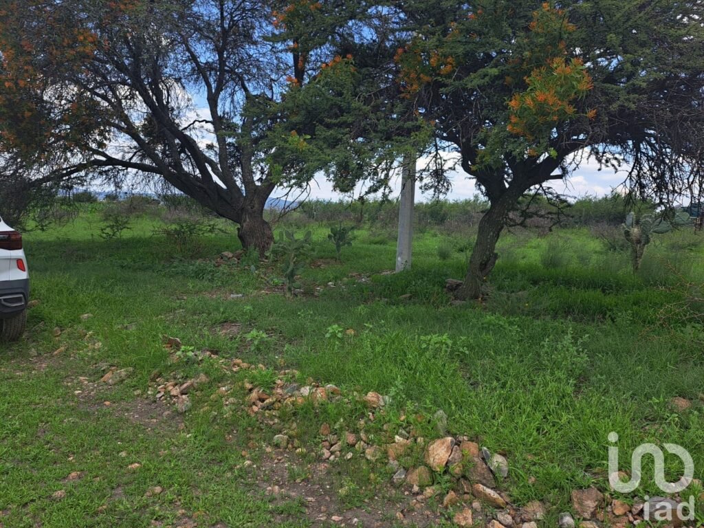 Terreno en VENTA Ejido Vegil Huimilpan, Querétaro