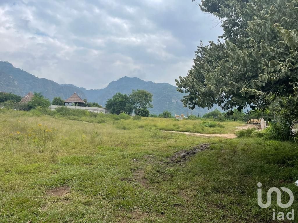 TERRENO EN VENTA EN CONJUNTO HABITACIONAL PALAPA, TERRENO EN TEPOZTLAN, MORELOS