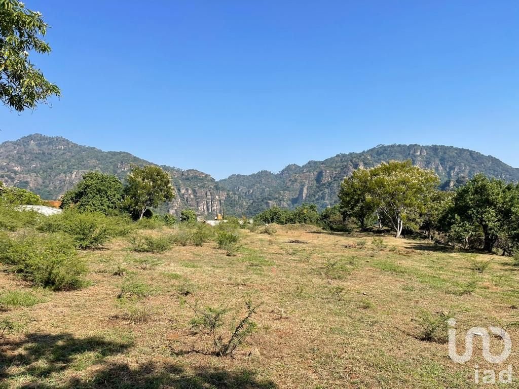 TERRENO EN VENTA EN CONJUNTO HABITACIONAL PALAPA, TERRENO EN TEPOZTLAN, MORELOS