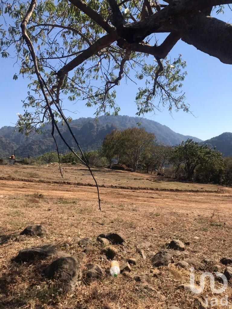 TERRENO EN VENTA EN CONJUNTO HABITACIONAL PALAPA, TERRENO EN TEPOZTLAN, MORELOS