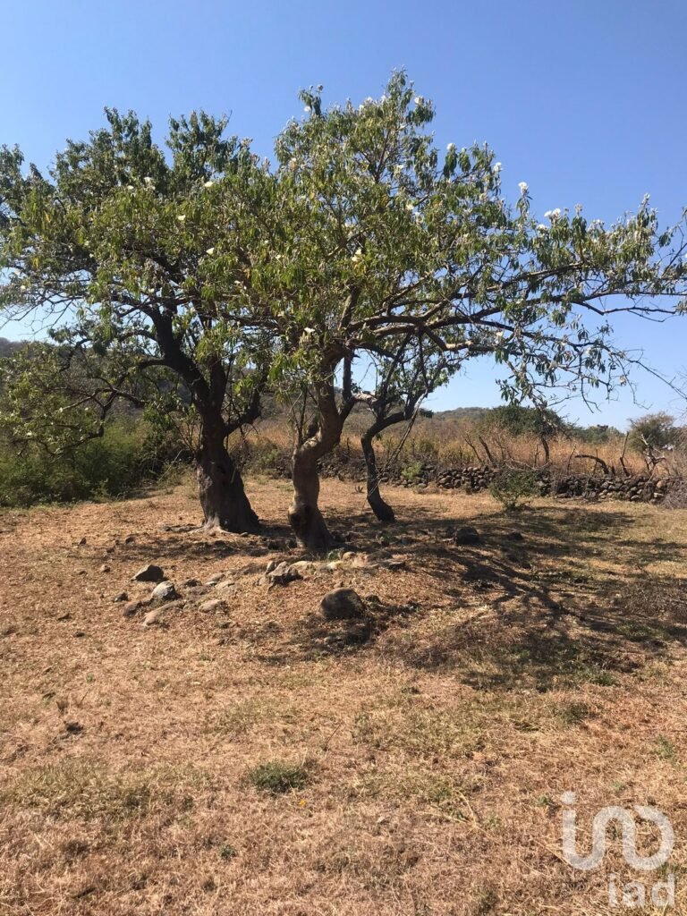 TERRENO EN VENTA EN CONJUNTO HABITACIONAL PALAPA, TERRENO EN TEPOZTLAN, MORELOS