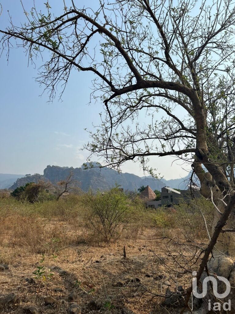 TERRENO EN VENTA EN CONJUNTO HABITACIONAL PALAPA, TERRENO EN TEPOZTLAN, MORELOS