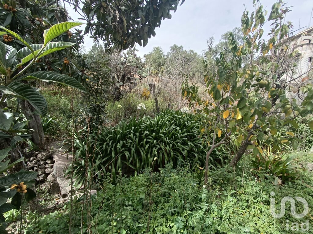 Terreno en venta La Purificación Tepetitla, Texcoco.