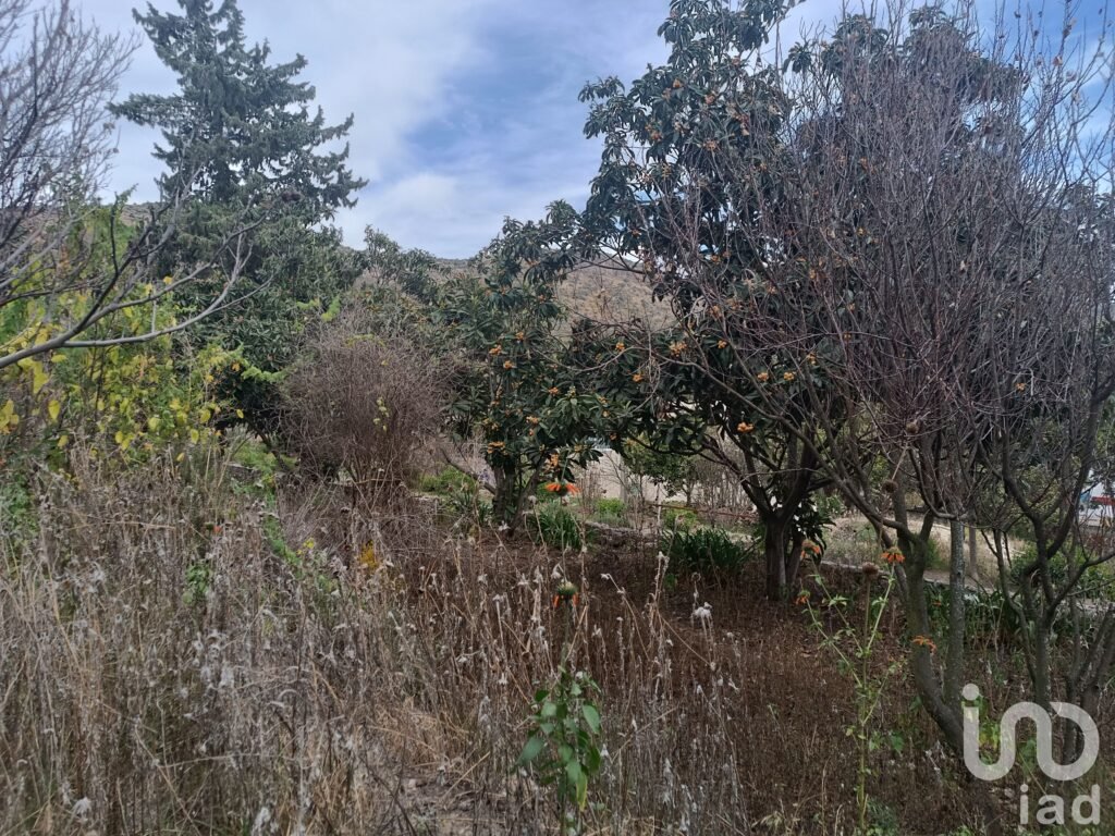 Terreno en venta La Purificación Tepetitla, Texcoco.