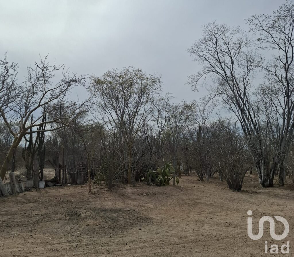 TERRENO CAMPESTRE EN VENTA 9322m2 EN LA DIVINA PROVIDENCIA A UN COSTADO DE CALAFIA CUENTA CON AGUA