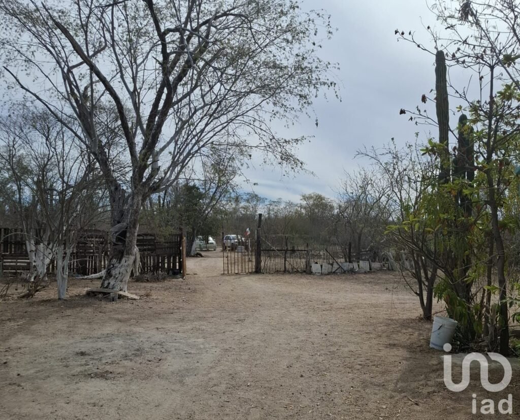 TERRENO CAMPESTRE EN VENTA 9322m2 EN LA DIVINA PROVIDENCIA A UN COSTADO DE CALAFIA CUENTA CON AGUA