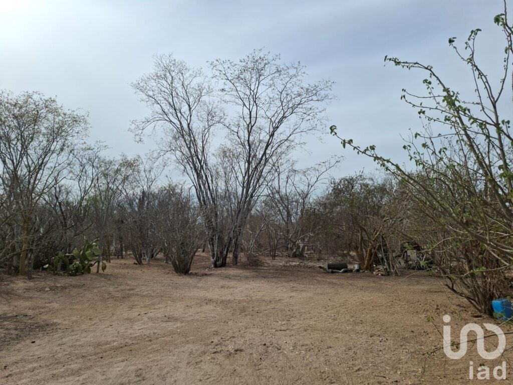 TERRENO CAMPESTRE EN VENTA 9322m2 EN LA DIVINA PROVIDENCIA A UN COSTADO DE CALAFIA CUENTA CON AGUA