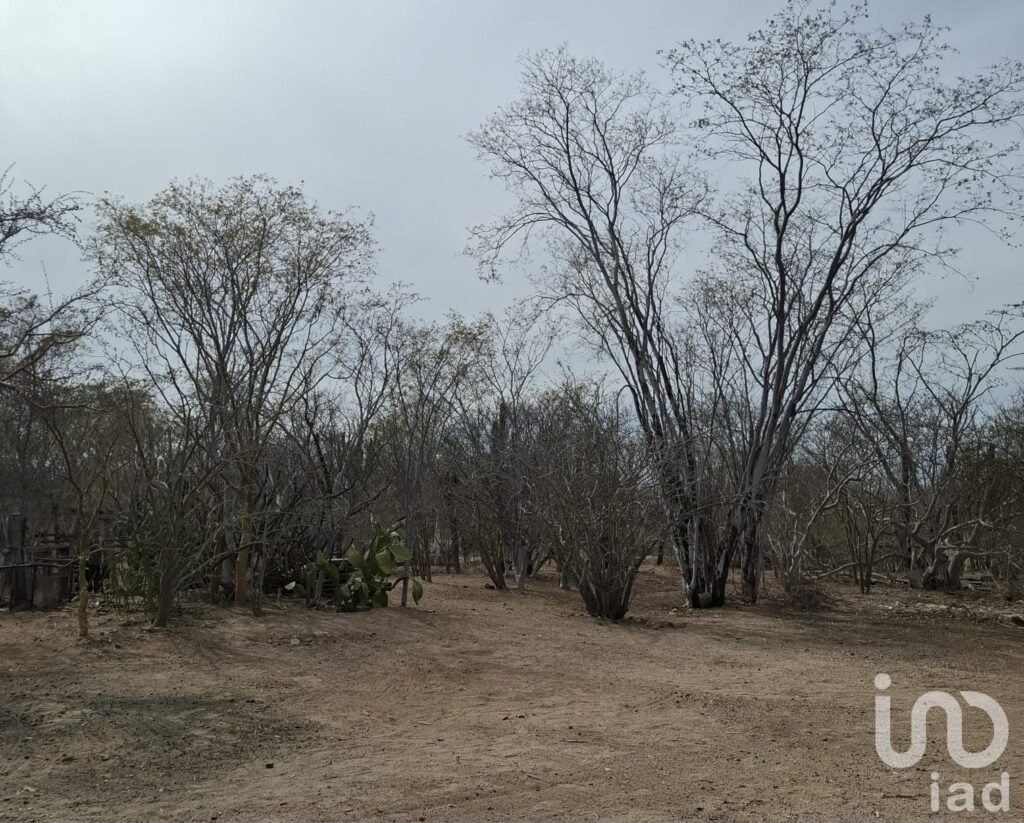 TERRENO CAMPESTRE EN VENTA 9322m2 EN LA DIVINA PROVIDENCIA A UN COSTADO DE CALAFIA CUENTA CON AGUA