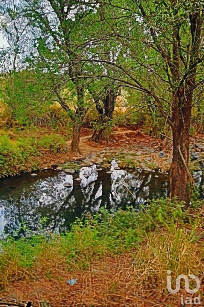 Venta Terrenos en Lomas de Cocoyoc