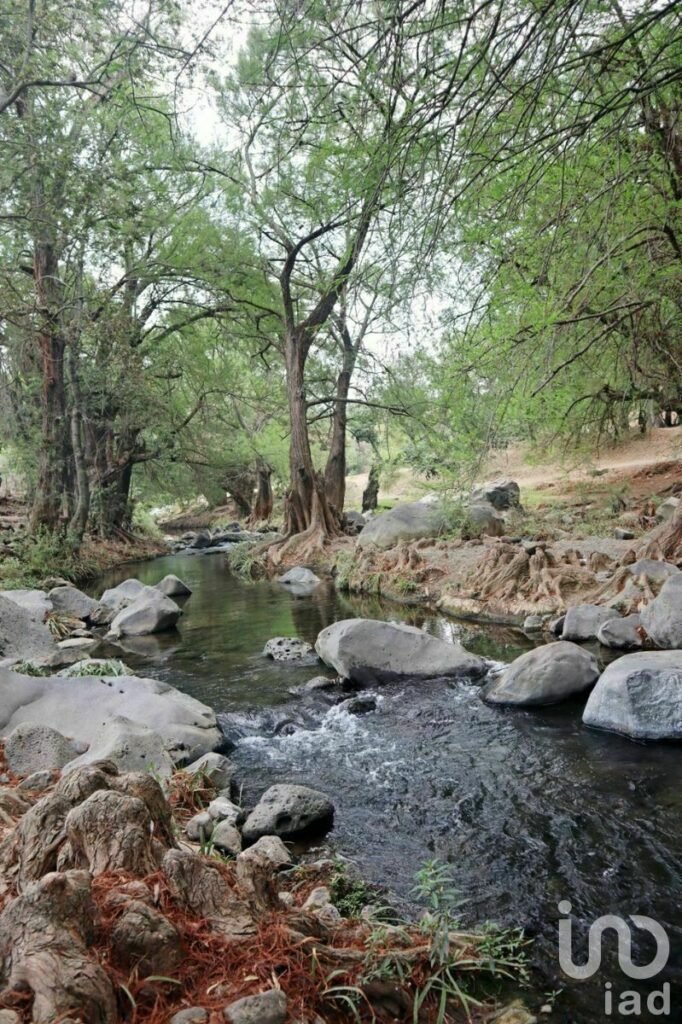 Venta Terrenos en Lomas de Cocoyoc